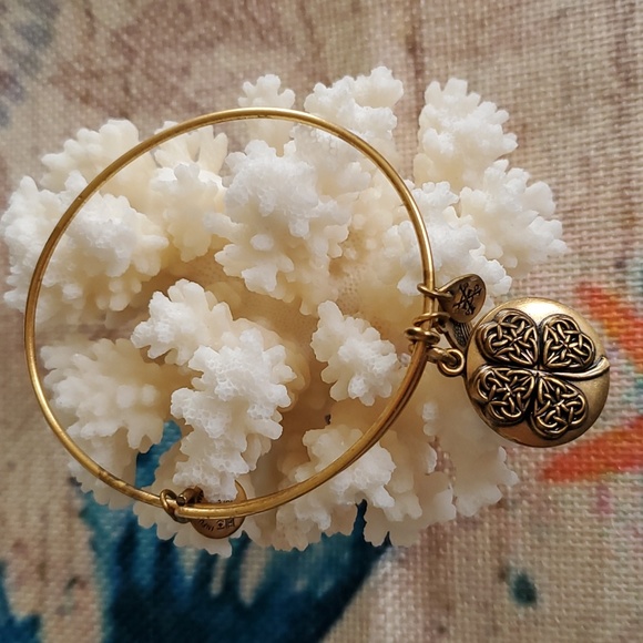 Alex and Ani Four Leaf Clover Bracelet - Picture 2 of 15